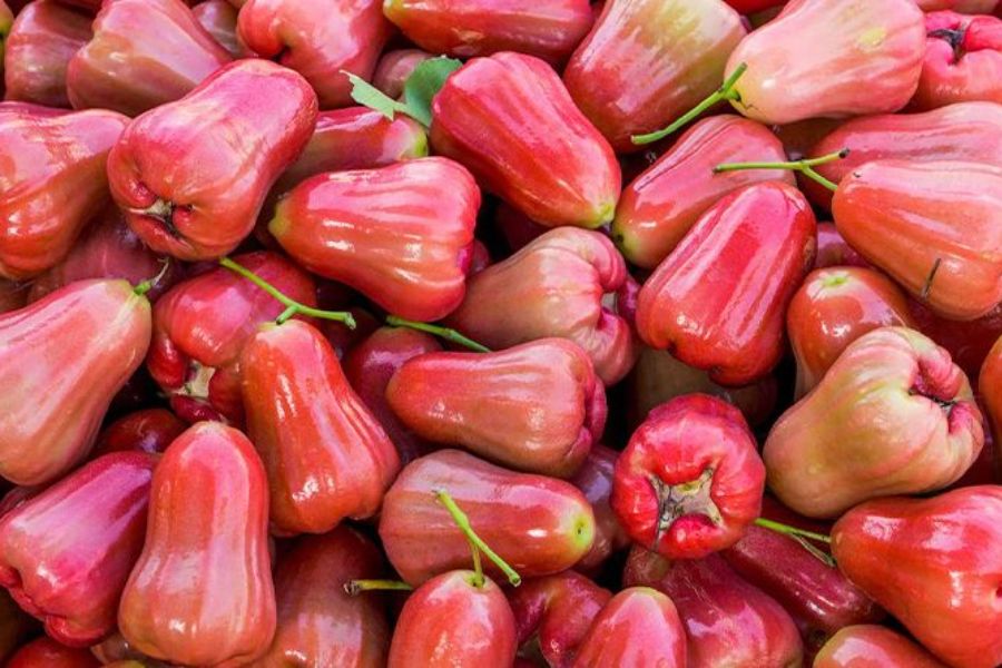 Rose Apple