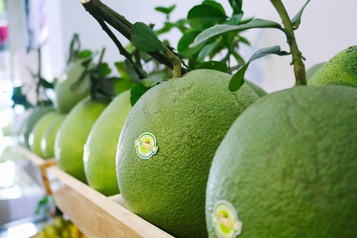 Pomelo