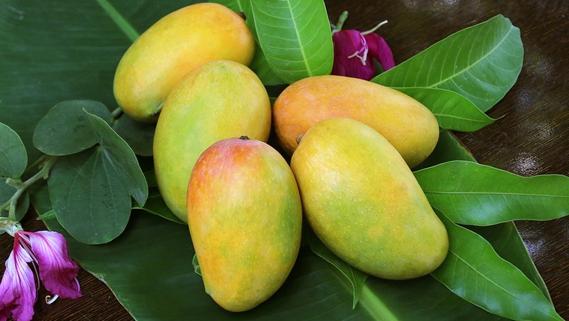 Mango