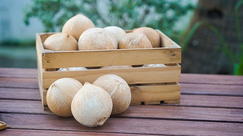 Coconut