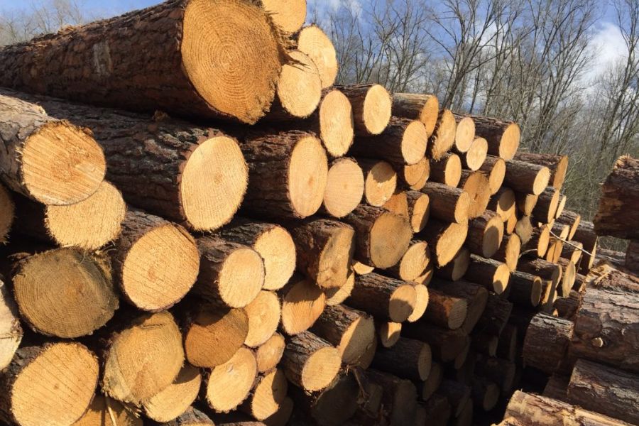 Wood