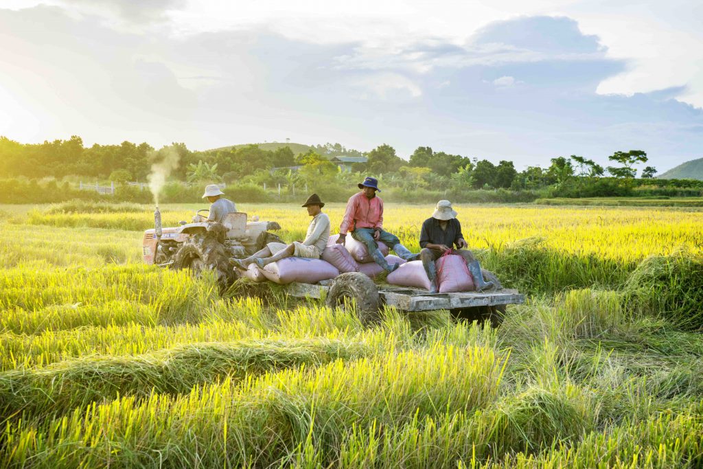 Vietnam agriculture 2024: Breakthrough exports, record growth - Heritage Vietnam Airlines